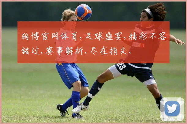 狗博官网体育,足球盛宴,精彩不容错过,赛事解析,尽在指尖。