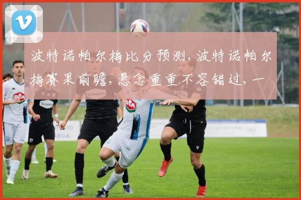 波特诺帕尔梅比分预测,波特诺帕尔梅赛果前瞻,悬念重重不容错过,一触即发