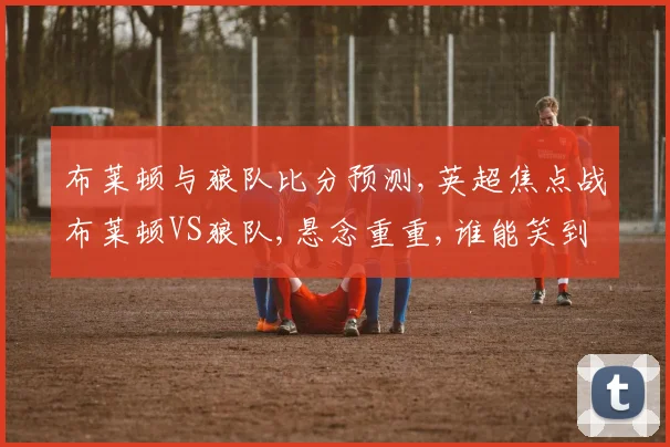 布莱顿与狼队比分预测,英超焦点战布莱顿VS狼队,悬念重重,谁能笑到最后