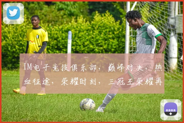 IM电子竞技俱乐部，巅峰对决，热血征途，荣耀时刻，三冠王荣耀再现